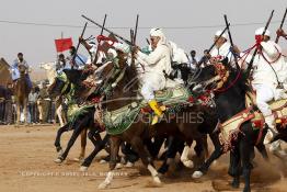 Image du Maroc Professionnelle de  Course typiquement marocaine dite ''la Fantasia'' organisé dans un site désertique sur lequel la ville de Tan Tan a toujours accueilli la majorité des tribus et des grandes familles nomades du désert lors d'un grand moussem, Samedi 24 Mars 2012. (Photo / Abdeljalil Bounhar)

 